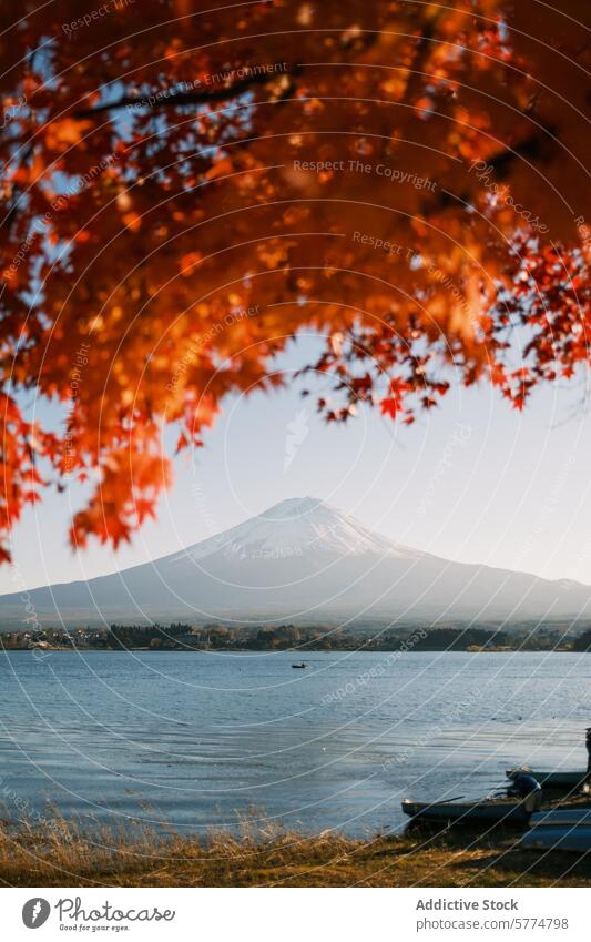 Ruhiger Blick auf den Berg Fuji im Herbst vom Kawaguchiko-See aus Japan reisen Blätter mt fuji kawaguchiko Gelassenheit majestätisch ruhig Ansicht Wasser rot
