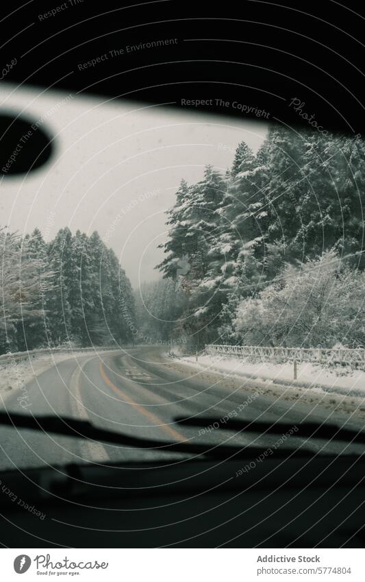 Winterlicher Roadtrip durch verschneite japanische Wälder Japan reisen Autoreise Wald Fahrzeug im Inneren Serpentinen schneebedeckt Bäume ruhig Atmosphäre