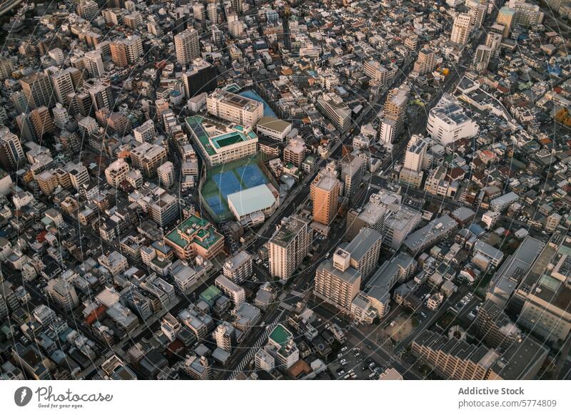Luftaufnahme des dichten Stadtbilds von Tokio in der Abenddämmerung Tokyo Japan urban Gebäude Großstadt Architektur reisen Sonnenuntergang Ausgedehnte Overhead