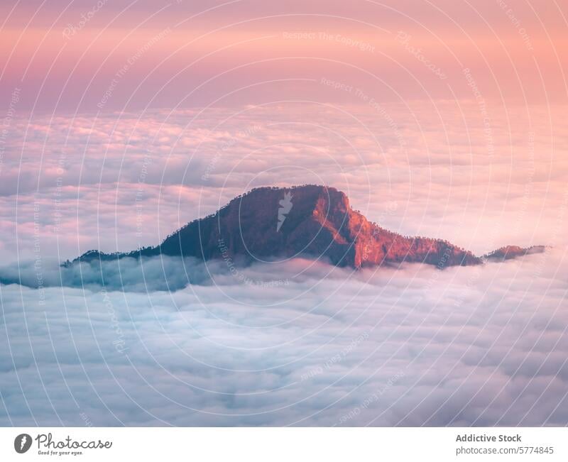 Gelassener Sonnenaufgang über den wolkenverhangenen Gipfeln der Insel La Palma Spanien Cloud Berge u. Gebirge Gelassenheit Landschaft Natur zarte Tönung