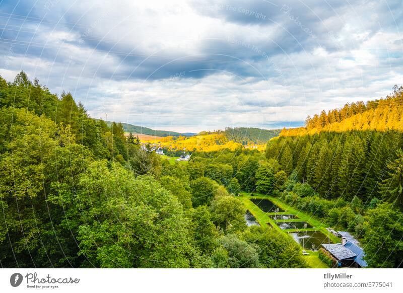 Blick auf die Natur an der Oestertalsperre Talsperre Landschaft Stausee Wald Himmel Wolken Idylle Außenaufnahme bewölkt Panorama (Aussicht) Erholung Horizont