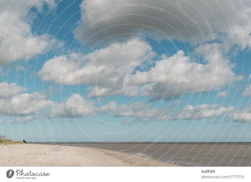 Menschen am Strand mit Wolken über der Nordsee im Wattenmeer Silhouette Ausflug Sandstrand Meer Himmel Küste Insel Landschaft Horizont Gezeiten Natur Wasser