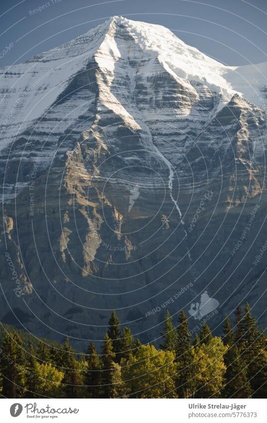 Kanada | Mount Robson im Herbst mit erstem Schnee Berg Berggipfel erster Schnee Berge u. Gebirge kalt Herbstwald Felsen Landschaft wild Rocky Mountains Wald