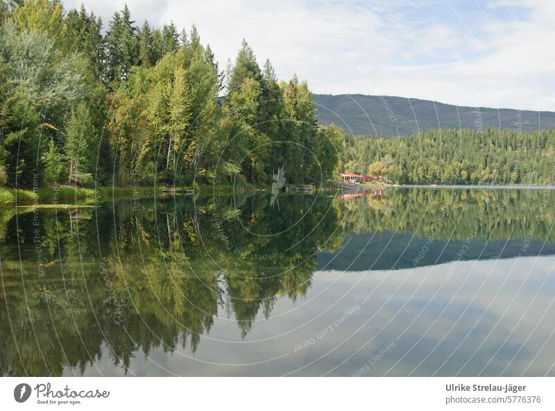 Kanada | ruhiger See mit Bootsanleger, Wald, Hügel und Spiegelung friedlich Reflexion & Spiegelung Wasseroberfläche Natur Idylle Wasserspiegelung Ruhe