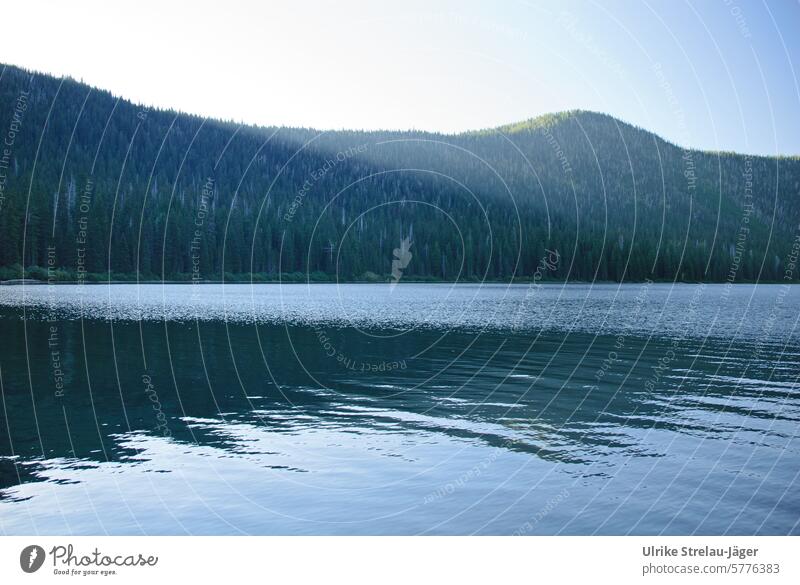 Kanada | Wald und Wasser See Seeufer Reflexion & Spiegelung Wasseroberfläche Wasserspiegelung Natur ruhig Idylle Landschaft friedlich Ruhe Bäume Erholung Ufer