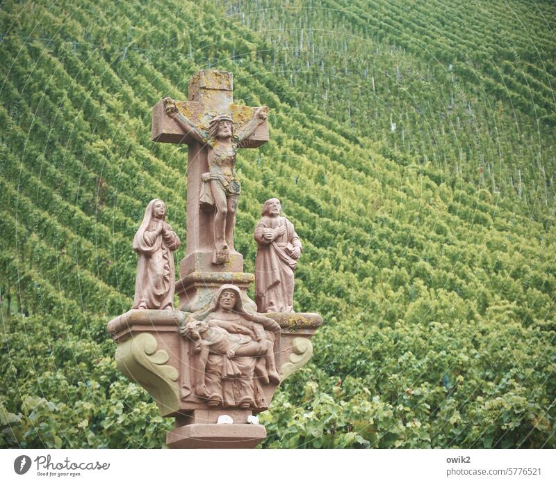 Kalvarienberg Moseltal Mosel (Weinbaugebiet) Landschaft Idylle Natur Rheinland-Pfalz Wegkreuz Christliches Kreuz Glaube & Religion innehalten nachdenken