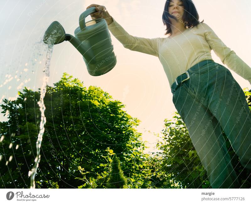 Eine Frau gießt ihren Garten Pflanze Außenaufnahme Erwachsene Gartenarbeit Natur Gießkanne gießen Wasser Froschperspektive Jeanshose Freizeit & Hobby Pflanzen
