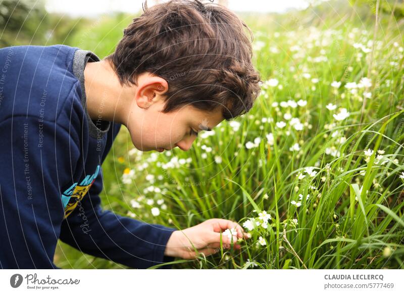 Junge pflückt eine weiße Wildblume Kind Kind pflückt eine Blume Blumen pflücken Frühling Außenaufnahme Garten grün authentisch Natur Neugier