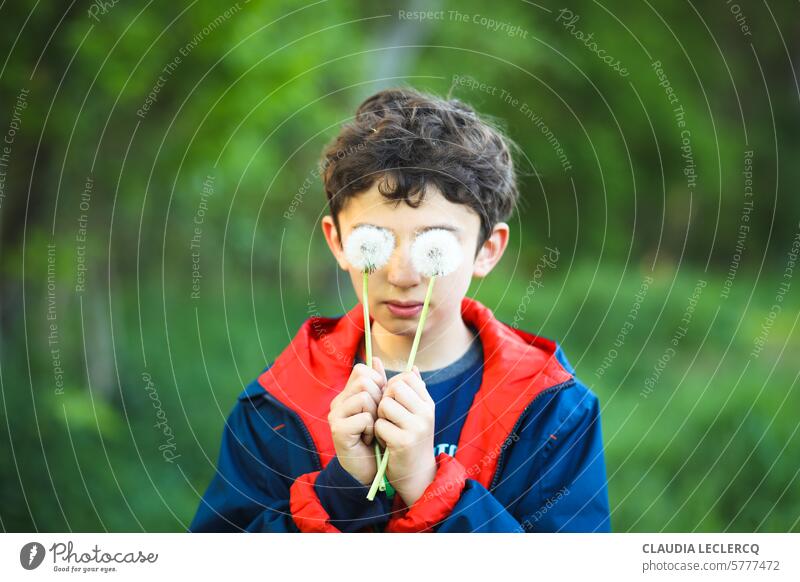 Junge, der seine Augen mit den Köpfen von Dadelionsamen versteckt Kind versteckte Augen Spielen in der Natur Außenaufnahme Freude Geheimnis Allergien