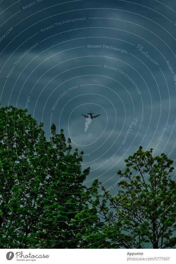 Zwischen grünen Baumwipfeln und einem von dunklen, blaugrauen Wolken verhangenen Himmel schwebt ein Linienflugzeug dem Horizont entgegen dunkelblau