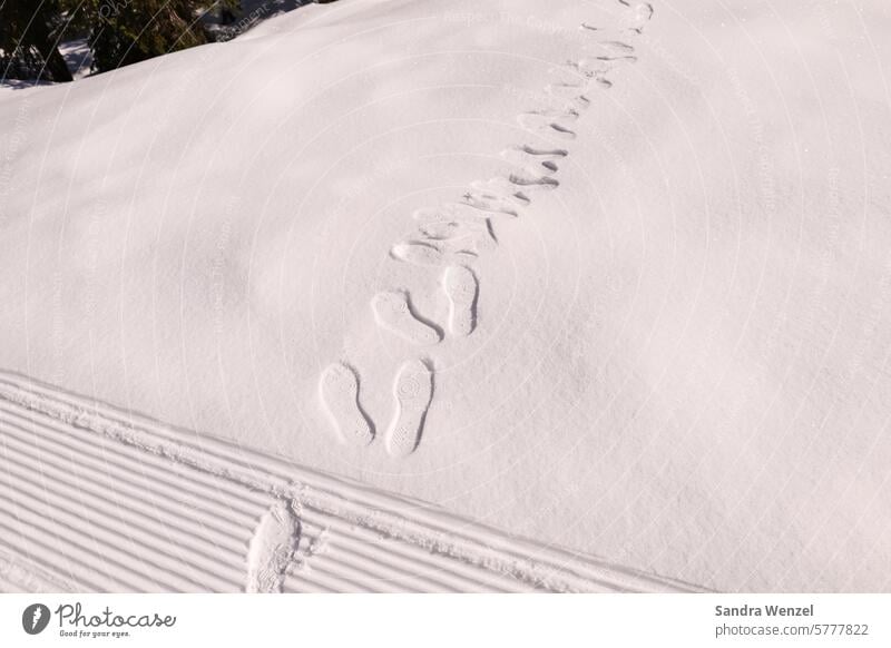 Spuren im Schnee spuren winter tiefschnee skigebiet urlaub weiß loipe langlauf wandern österreich kärnten