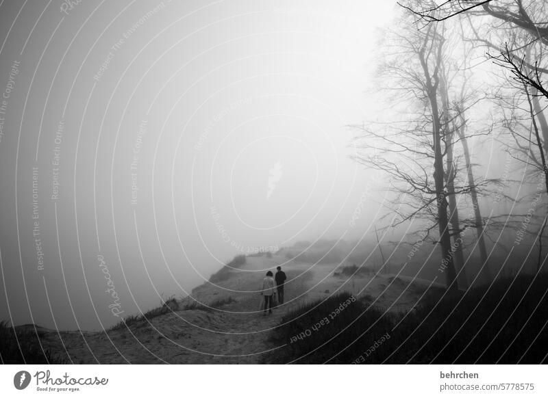 wenn wir nicht wissen, was kommt! ungewissheit Natur Bäume geheimnisvoll mysteriös mystisch Nebel melancholisch allein Einsamkeit Mecklenburg-Vorpommern