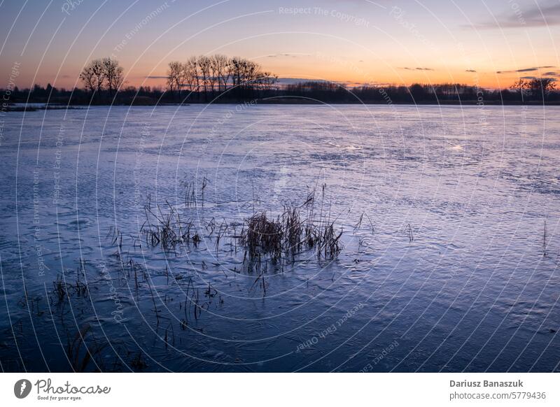 Ein zugefrorener See mit Schilf, eine Abendansicht im März Wasser Eis Schilfrohr Gras Sonnenuntergang Natur im Freien Himmel Reflexion & Spiegelung idyllisch