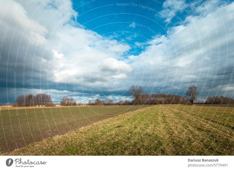 Dunkle Regenwolken über Feld und Wiese, Februartag wolkig bedeckt Klima Himmel Baum Tag regnerisch Gras Wachstum Ackerbau Fotografie horizontal keine Menschen
