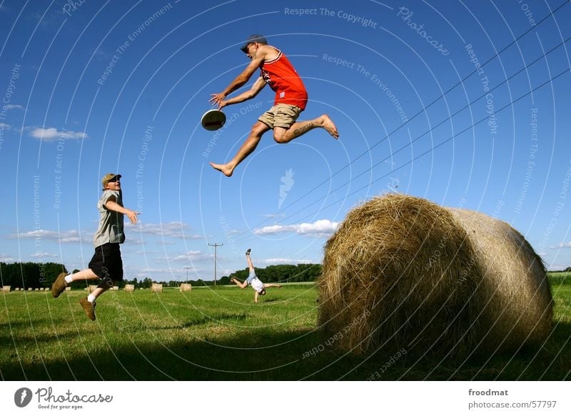dynamisches Frisbeespiel springen Feld Wiese Handstand Heurolle Strommast fangen Heuballen Elektrizität hüpfen gleichzeitig Sport Spielen Aktion Ausgelassenheit
