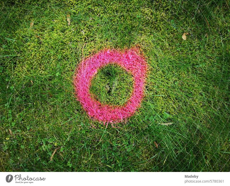 Kreis in Rosa und Pink als Markierung für eine Neupflanzung auf grünem Rasen in Oerlinghausen bei Bielefeld am Hermannsweg im Teutoburger Wald in Ostwestfalen-Lippe