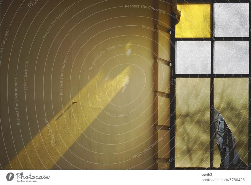 Gelber Schatten Fenster Detail Glas Fensterscheibe zersprungen Hausflur retro alt Vergangenheit Fensterecke Strukturglas mehrfarbig gelb Lichterscheinung
