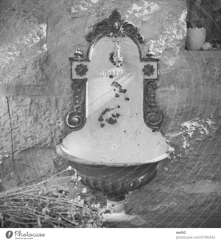 Am Pool Waschbecken Wasserhahn alt Außenaufnahme liebevoll retro Überbleibsel damals Erinnerung Vergänglichkeit dörflich Design Verfall Verzierung schrullig