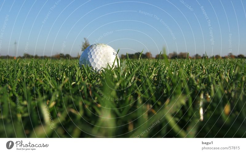 Regenwurm Perspektive Golfball Gras grün fairway Rasen Himmel blau