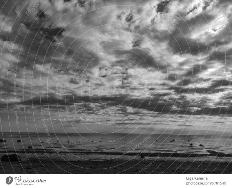 Ostsee Schwarzweißfoto Fotografie Schwarz-Weiß-Fotografie schwarz-weiß analog Schwarz-Weiß-Bild Landschaft Strand Tourismus Schönes Wetter Meer Wellen Atlantik