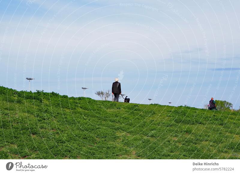 Totale: Weißhaarige Dame geht mit Hund auf grasbewachsenem Damm spazieren ältere Frau weißhaarig Silverager Natur freizeit Erholung Landschaft blauer Himmel