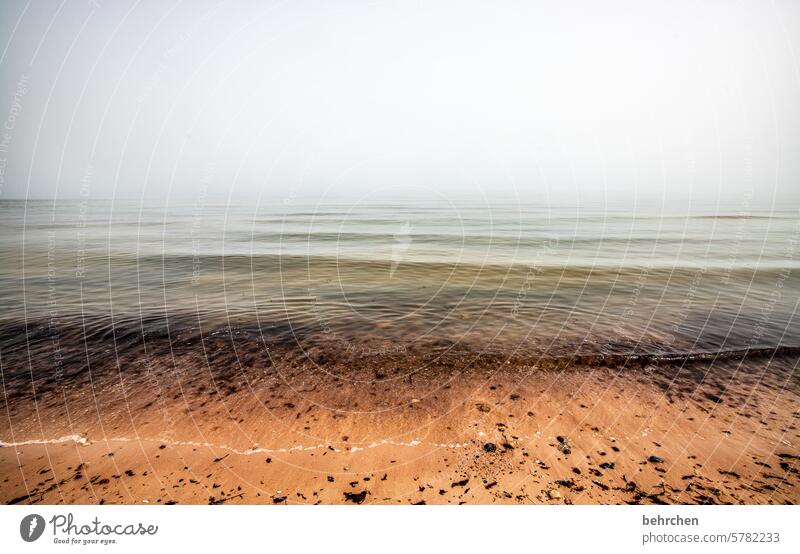 klangmalerei | stille verborgen geheimnisvoll weite Idylle Rügen Nebel Sandstrand Wasser Fernweh Sehnsucht Wolken Landschaft Ostseeküste Küste Strand Meer