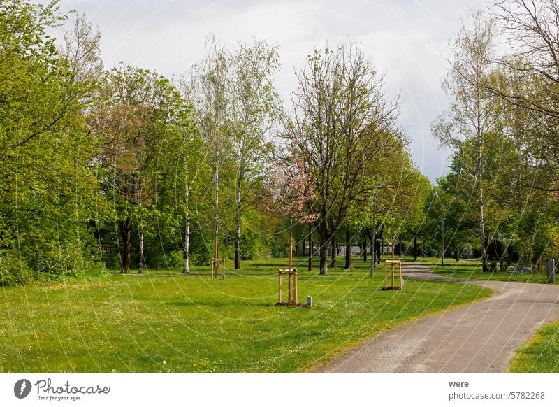 Ein Weg in einem Park mit Obstbäumen und Urban Gardening in Königsbrunn bei Augsburg in Bayern an einem bewölkten Tag Welterbe Wasserwirtschaft Augsburg Fugger