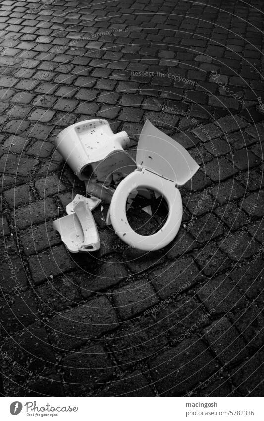 Zerbrochene Toilettenschüssel auf der Straße kaputt zerstört zerbrochen Kopfsteinpflaster Kopfsteinpflasterstraße Schwarzweißfoto schwarzweiß niemand