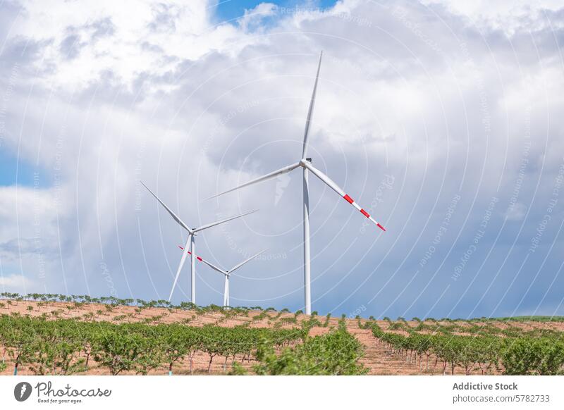Windturbinen, die sich über eine Weinberglandschaft erheben Windkraftanlage Energie regenerativ Ackerbau Landschaft wolkig Himmel hoch grün umweltfreundlich