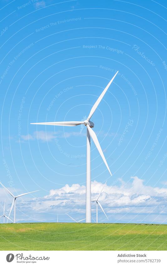 Windkraftanlagen vor blauem Himmel nachhaltig Energie regenerativ Blauer Himmel grüne Wiese Landschaft Umwelt Ökologie Technik & Technologie Elektrizität Kraft
