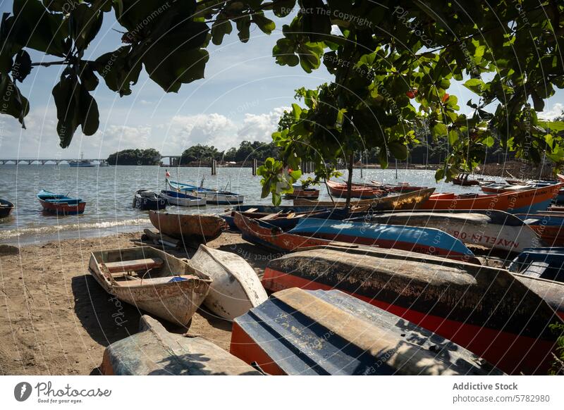 Boote an Land in der ruhigen Samaná-Bucht, Dominikanische Republik Samana Ufer sandig Hafengebiet Grün farbenfroh aussruhen Seeküste reisen Tourismus tropisch