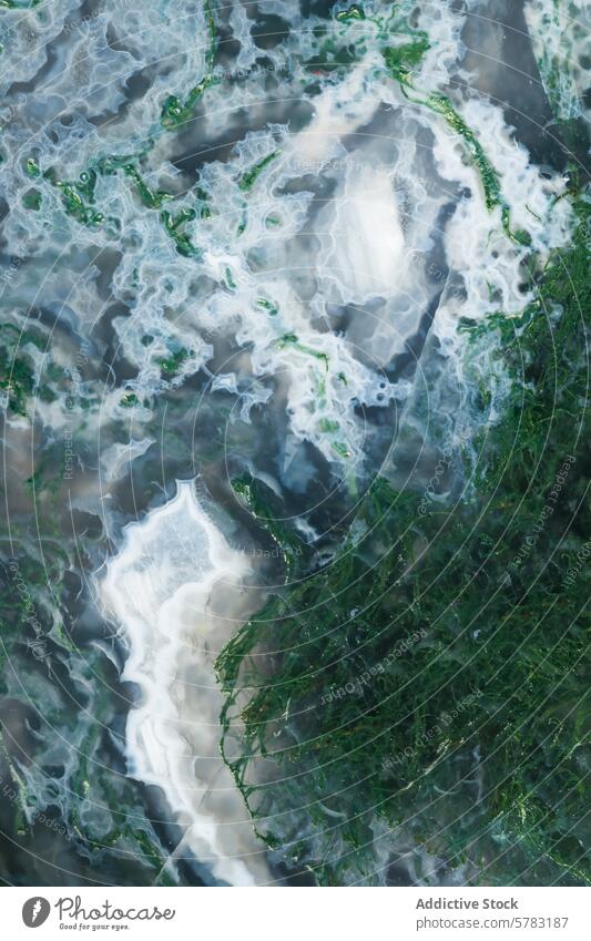 Nahaufnahme von polierten Moosachat-Steinmustern Achat Oregon Poliert Muster Mineral grün weiß durchscheinend Textur Edelstein Lüster natürlich Geologie Makro