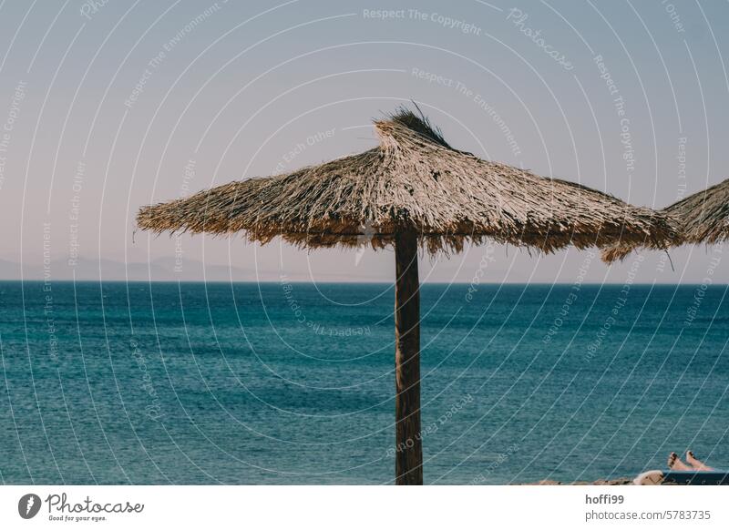 Nahaufnahme eines Sonnenschirms aus Palmblättern bei wolkenlosem Himmel und tiefblauem Meer sonnenschutz Sommer Sonnenschutz Ferien & Urlaub & Reisen