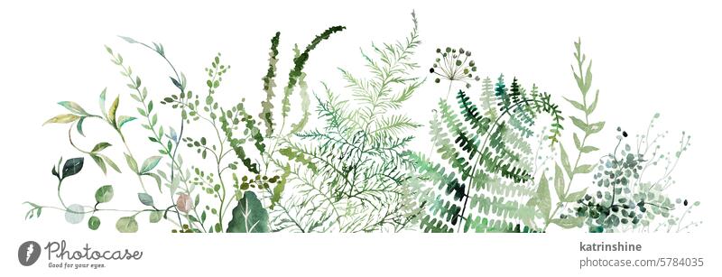 Border mit Aquarell Farn und botanische grüne Blätter isoliert Illustration, Hochzeit Geburtstag Zeichnung Element exotisch Garten handgezeichnet vereinzelt