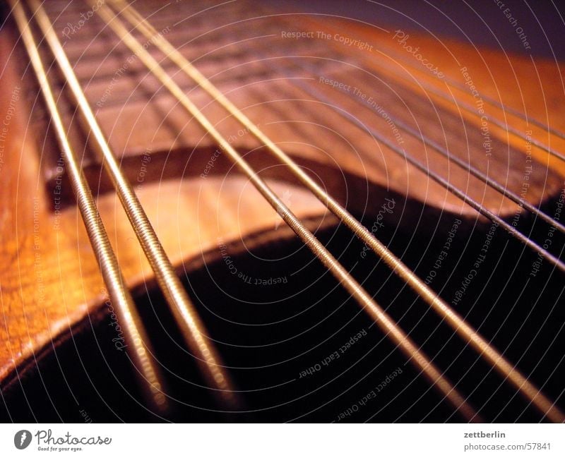 Mandoline Zupfinstrumente Saiteninstrumente Volksmusik Lied Konzert Musik volkslied musikschule