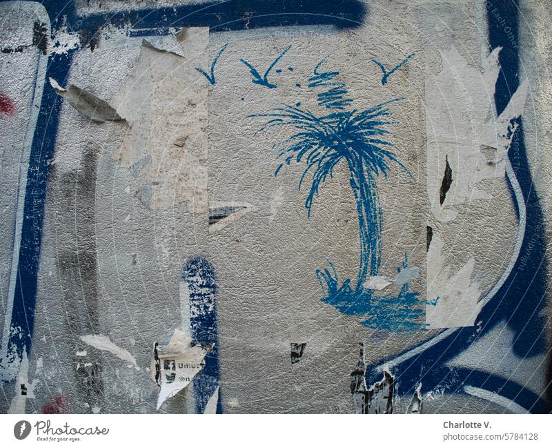 Südseeträume I Auf eine Fassade gekritzelte Palme und Vögel Gekritzel Graffiti zeichnung trashig urban Zauberstab blau grau Gedeckte Farben Stadt