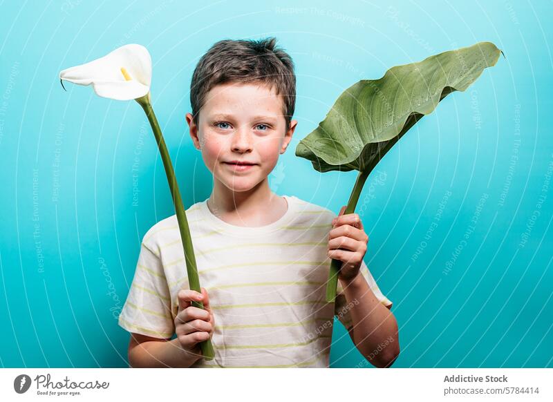 Junge hält eine Calla-Lilie und ein Blatt auf blauem Hintergrund Kind Lächeln Blauer Hintergrund Beteiligung grün weiß Blume Natur heiter Porträt Glück