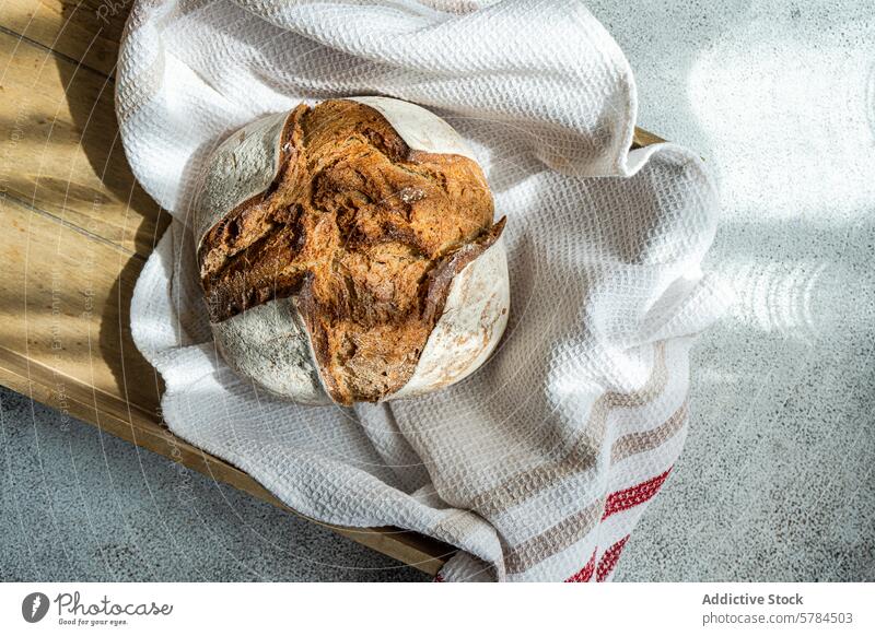 Frisch gebackenes Sauerteig-Roggenbrot auf Holzbrett Brot Mehl frisch Handwerklich Gesundheit Bäckerei Kruste Brotlaib selbstgemacht Holzplatte Handtuch Küche