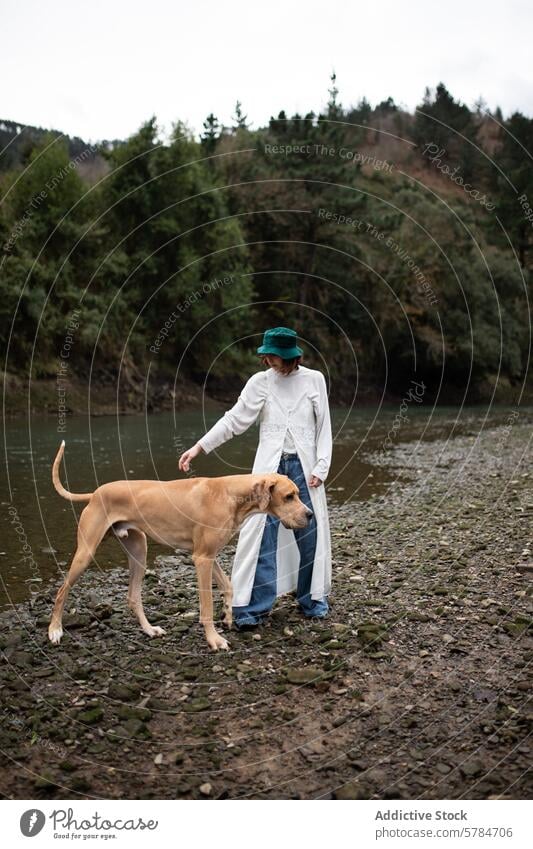 Frau mit großem Hund an einem Flussufer in der Natur Person Großer Hund Waldgebiet Haustier Ruhe im Freien Hut Spaziergang mit Hund Tier große Rasse