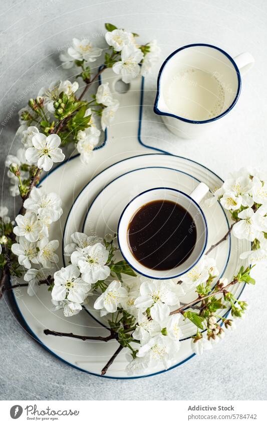 Frühlingliches Kaffee- und Milchset mit blühenden Kirschzweigen melken Kirschblüten Teller Emaille Becher weiß Blütezeit Ast Blume Frische Getränk Frühstück