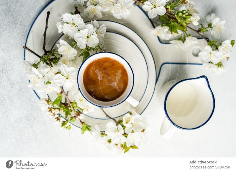 Kaffeetasse mit Frühlingsblüte auf weißem Hintergrund Tasse Blüte melken Kannen Draufsicht Getränk geblümt Geschirr Natur Dekor Frische Morgen Frühstück Emaille