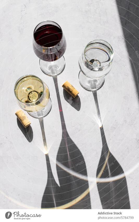 Elegante Weingläser werfen Schatten an einem sonnigen Tag Glas Sonnenlicht rot weiß leer minimalistisch elegant Design Textur Oberfläche Casting Getränk Alkohol