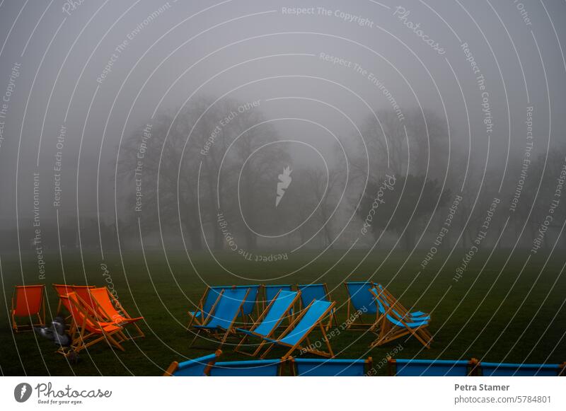 Liegestühle in Orange und blau im Nebel Bäume orange Natur ausruhen Landschaft Außenaufnahme ruhig Erholung Menschenleer Morgennebel Morgendämmerung morgens