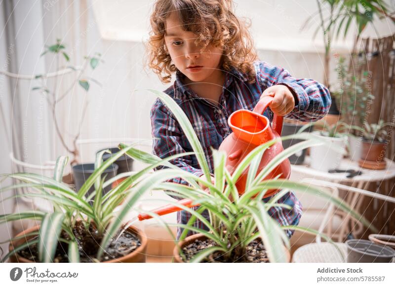 Kind bei der Pflege von Zimmerpflanzen mit einer Gießkanne Gartenarbeit Bewässerung im Innenbereich Verantwortung Pflanze Wasser Dose rot Grünlilie