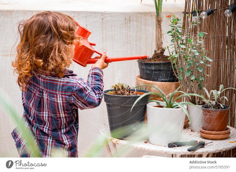 Kleines Kind beim Gießen von Pflanzen in einem Hausgarten Garten Bewässerung eingetopft rot Gießkanne heimwärts krause Haare sonnenbeschienen gemütlich