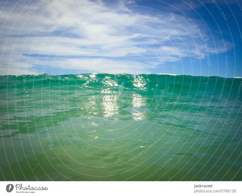 zähne zsmmnbßn ) ) die nächste Welle kommt winken Pazifik Urelemente frontal Wasseroberfläche Bewegungsenergie Meerwasser Hintergrundbild Natur Wellenlinie