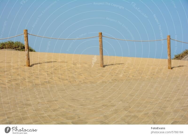 Sanddüne mit Zaun Horizont Maspalomas trocknen endlos Natur Gran Canaria Hintergrund MEER Pflanze Strand Spanien golden Europa Sommerzeit Holz Feiertage