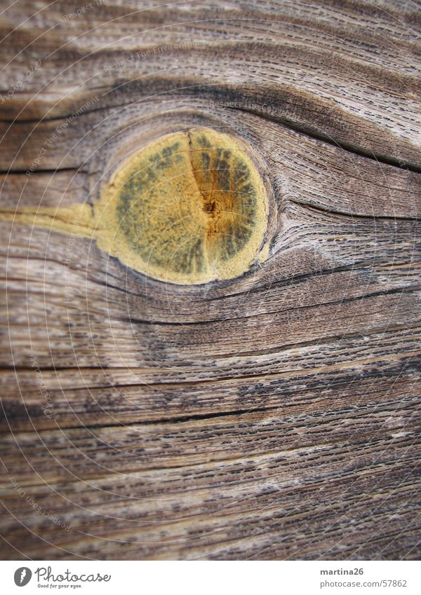 Astloch Holz Außenaufnahme braun Physik Holzmehl Natur Haptik Oberfläche Holzleiste Brennholz Nutzholz Makroaufnahme Nahaufnahme knothole Maserung