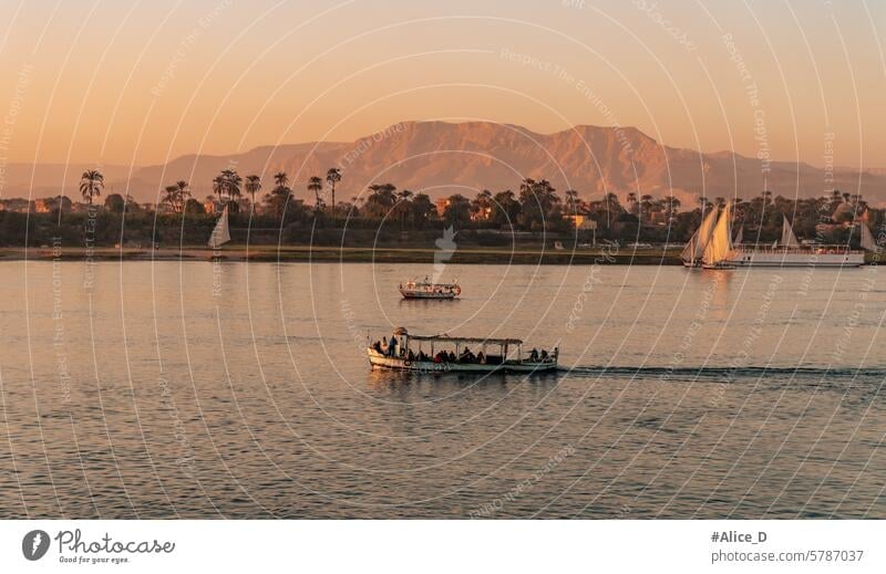 Reisen Ägypten Nilkreuzfahrt Abenteuer Afrika aswan ägypten Brücke Großstadt Stadtbild Kreuzfahrt Kreuzfahrtschiff Kultur wüst Ausflugsziel Fundstück