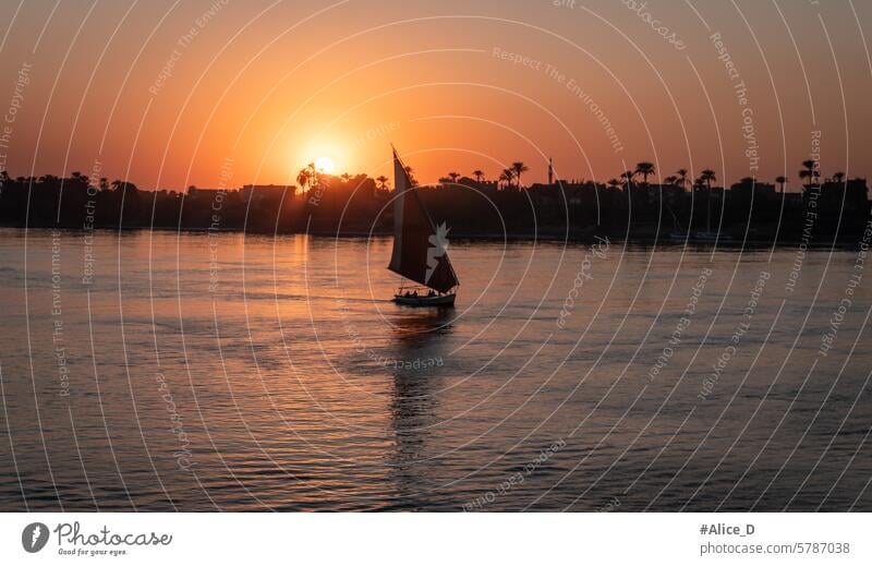 Ägypten Reisen Nilkreuzfahrt Abenteuer Afrika arabisch Assuan Boot Boote Kultur wüst Ausflugsziel Abenddämmerung ägyptische Feluke feluca felucca feluccas